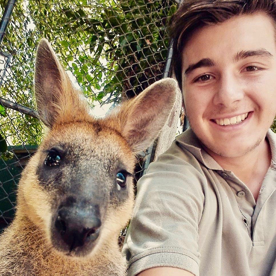 Vrijwilligerswerk in Australië - Werken met dieren in Australie