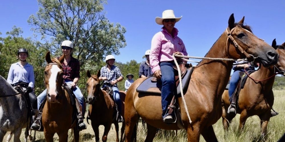 Werken met paarden in Australie