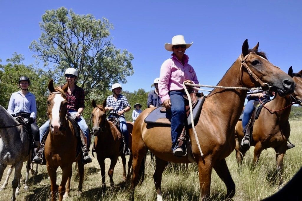 Werken met paarden in Australie-min Werken met paarden in Australie