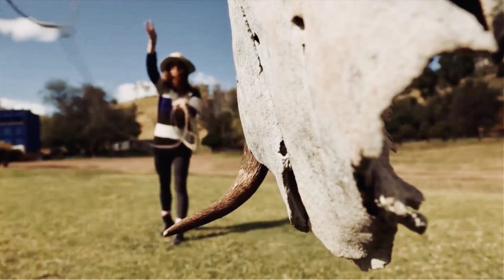 Op een boerderij in Australie aan de slag Op een boerderij in Australie aan de slag