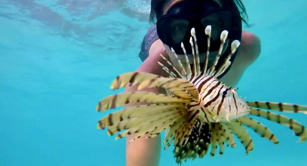 Thailand Explorer Groepsreis met Oak Travel Thailand Explorer Groepsreis met Oak Travel