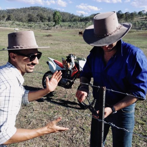 Hekken repareren met boerderijwerk in Australie