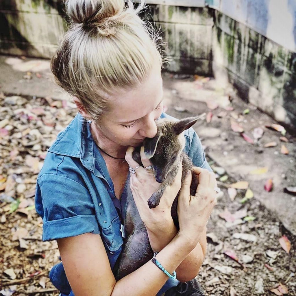 Knuffelen met kangoeroes in het Wildlife Habitat opvangcentrum Knuffelen met kangoeroes in het Wildlife Habitat opvangcentrum