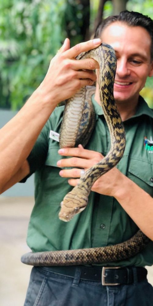 Werk als vrijwilliger met slangen