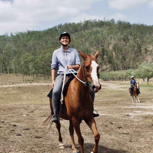 Werken met paarden doe je op een boerderij in Australie