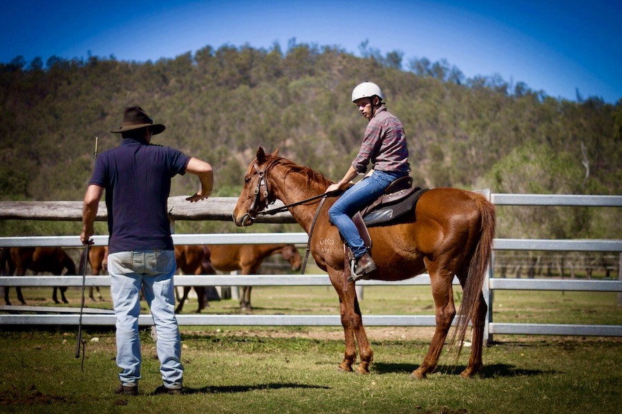 Werken met paarden in Australie in de praktijk brengen
