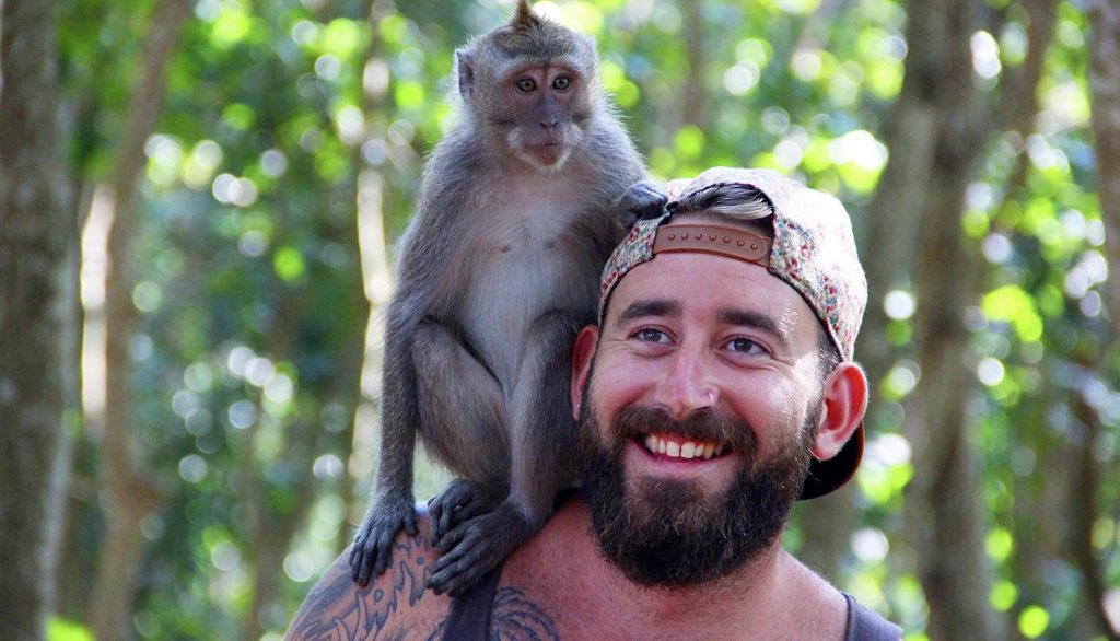 Ontmoet de apen in Bali Ontmoet de apen in Bali