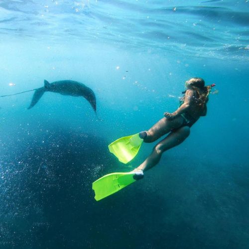 Snorkelen met roggen in Bali