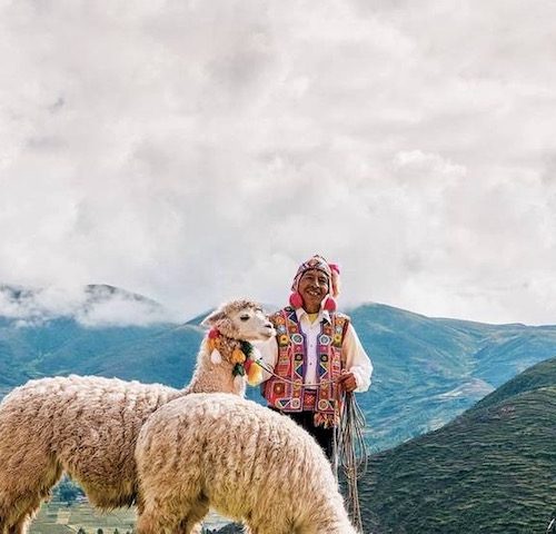 Local met Alpaca's in Peru