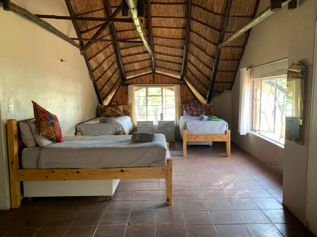 Gedeelde slaapkamer tijdens het neushoorn en olifanten project