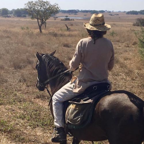 Paardrijden en vrijwilligerswerk combineren in Afrika