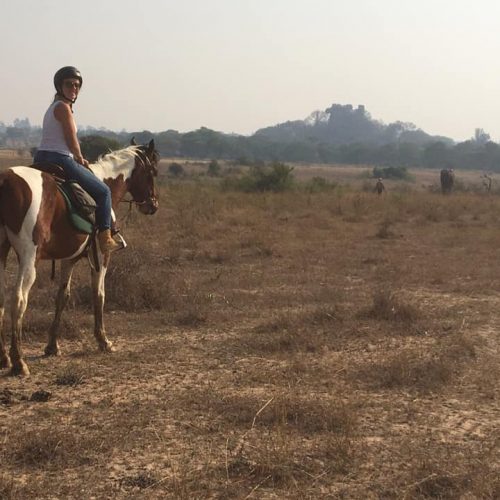 Vrijwilligerswerk in Afrika - Paardrijden en olifanten beschermen