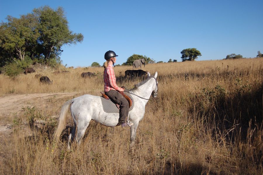 Vrijwilligerswerk in Afrika combineren met paardrijden