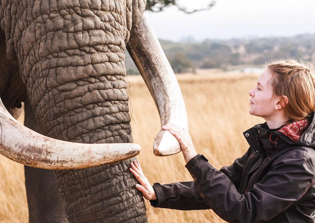 Wordt vrijwilliger en bescherm de olifanten in Afrika