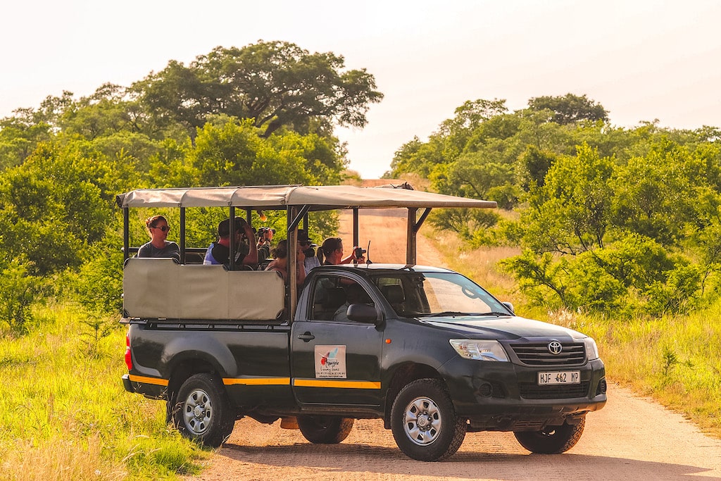 Kruger National Park Open Game Drive tijdens de Zuid-Afrika Adventure jongerenreis