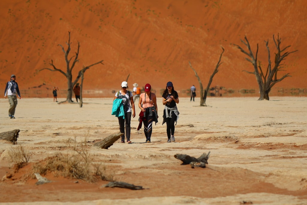 Wandelen door Dodevlei in Namibie