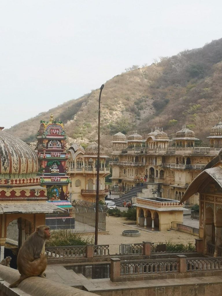 India bergen India bergen