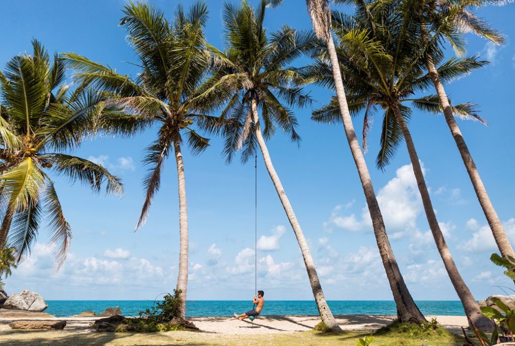 Phi Phi Swings Phi Phi Swings