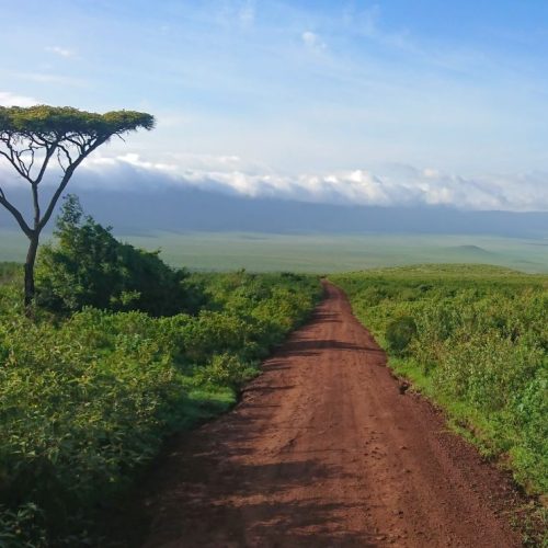 Ngorogoro Krater tijdens de groepsreis door Kenia en Tanzania