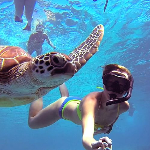 Snorkelen met schildpadden bij Gili eilanden