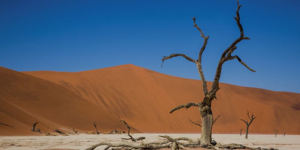 Sesriem Sossusvlei Namib Desert tijdens de Zuidwest-Afrika Explorer Groepsreis 2