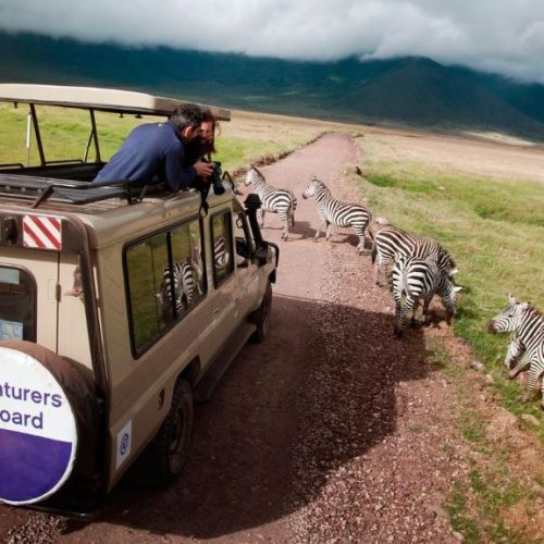 Tanzania Ngorongoro Zebras bij safari truck