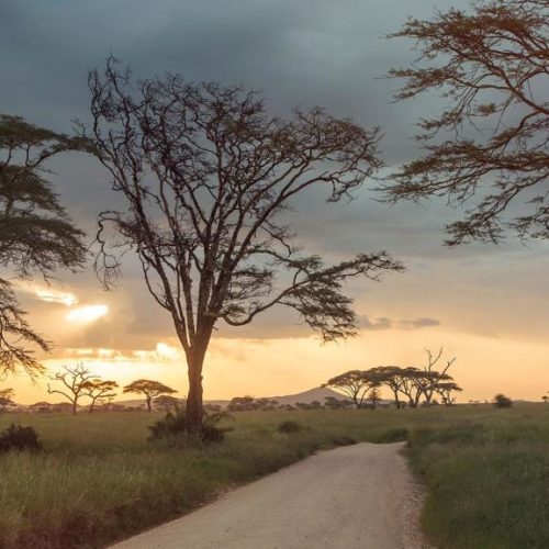 Tanzania Serengeti Zonsondergang