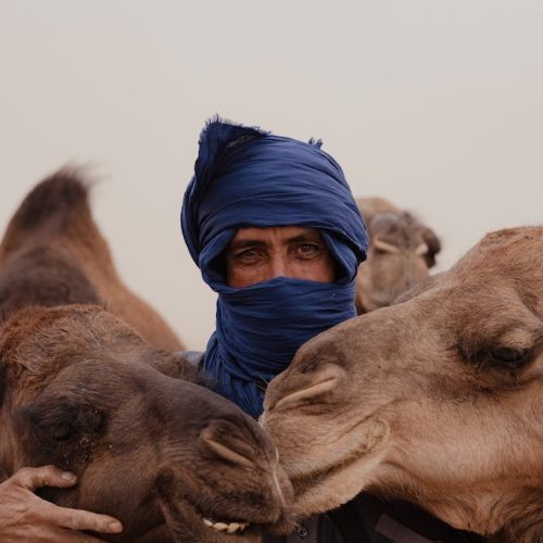 Marokkaanse kamelen houder