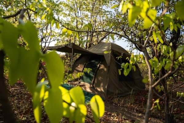 Tent accommodatie Mashatu safari kamp