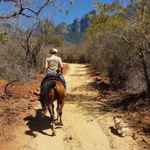 Mountain trail paardrijden Zuid-Afrika
