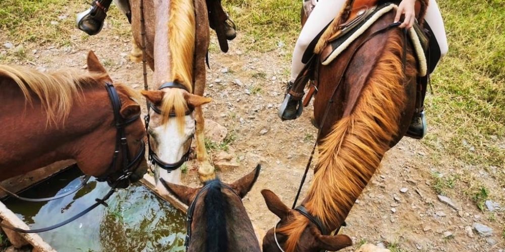 Paardrijden tijdens vrijwilligerswerk project in Zuid-Afrika