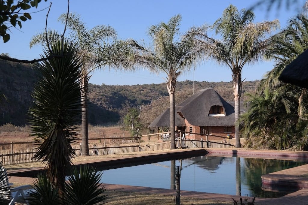 Accommodatie opvang projecten voor apen Accommodatie opvang projecten voor apen