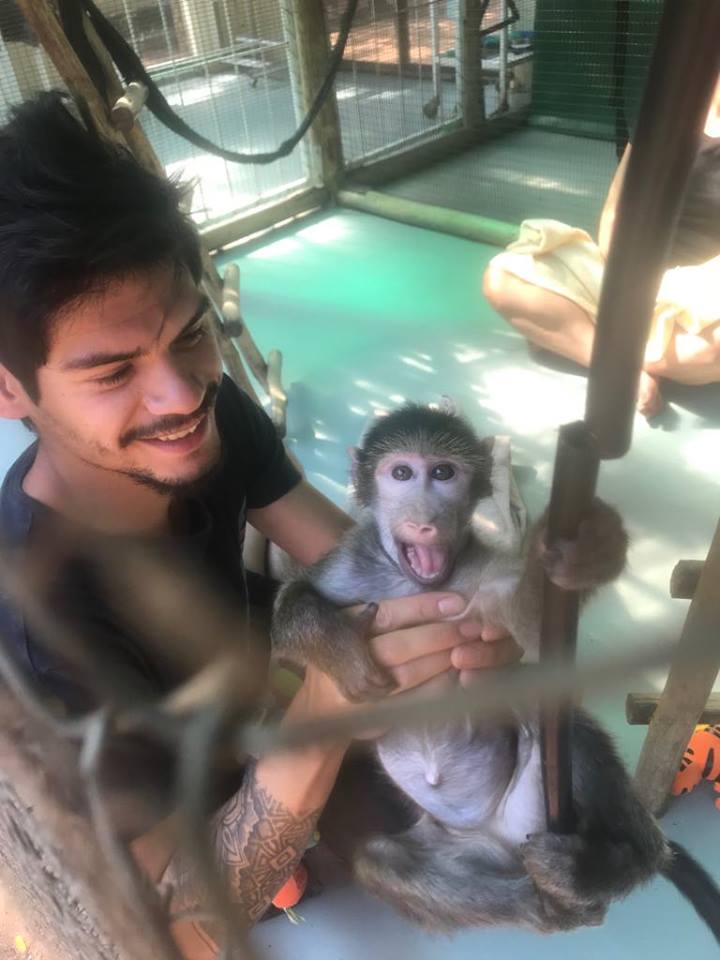 Verzorgen van apen in de opvang Verzorgen van apen in de opvang