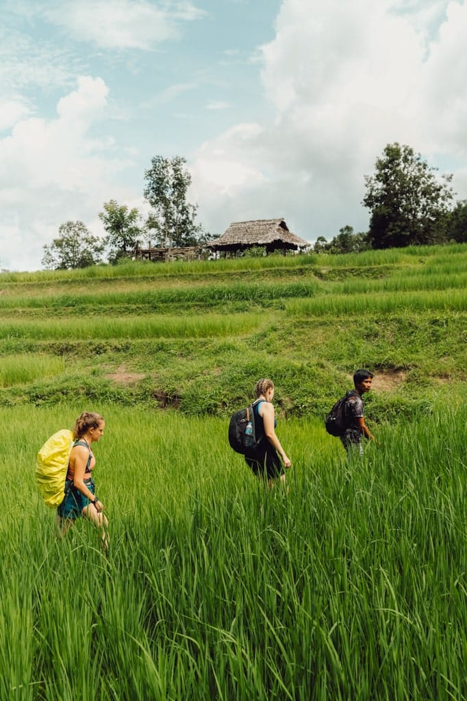 Jungle Trek Thailand Ultimate Jungle Trek Thailand Ultimate