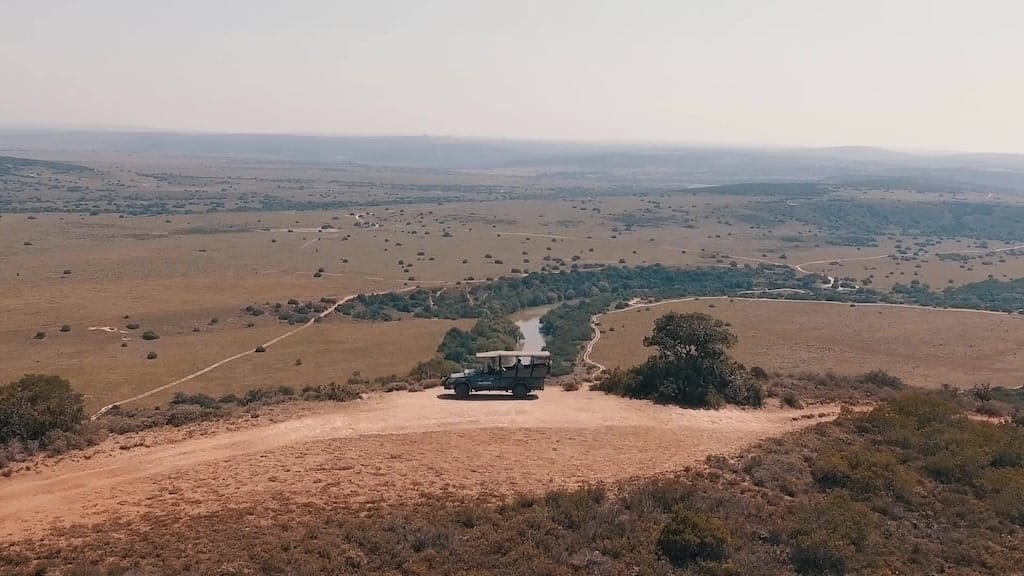 Game Reserve in Port Elizabeth Zuid-Afrika Game Reserve in Port Elizabeth Zuid-Afrika