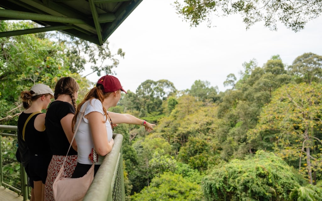 Borneo opzoek naar Wildlife Borneo opzoek naar Wildlife