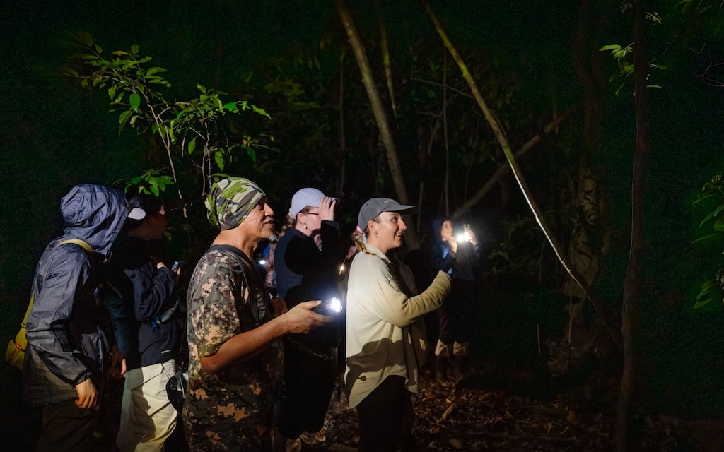 Nachtwandeling Jungle Nachtwandeling Jungle