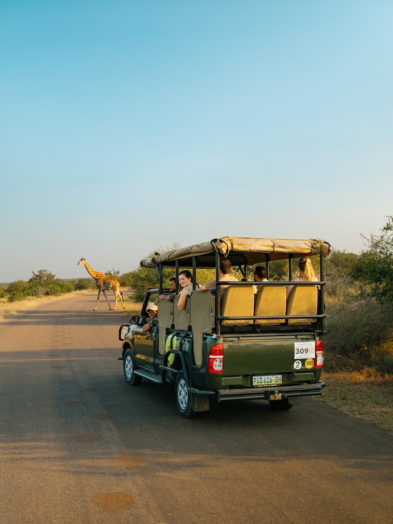 Giraffe in Addo National Park Giraffe in Addo National Park