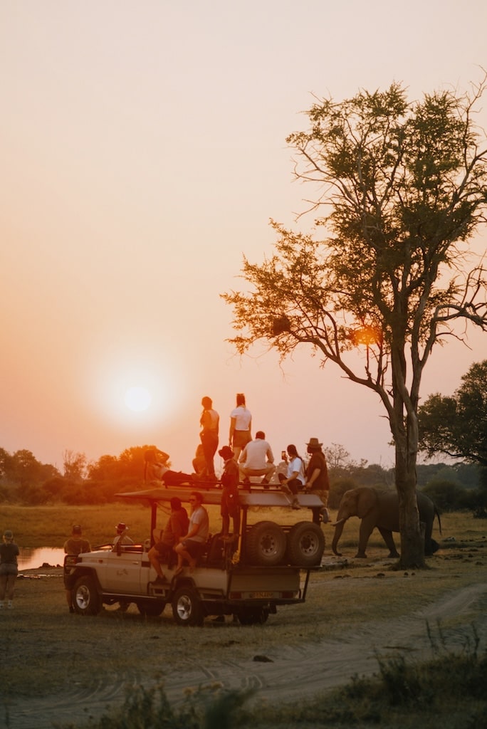 Olifanten dichtbij tijdens een safari Olifanten dichtbij tijdens een safari