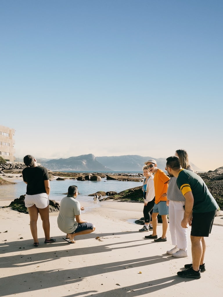 Pinguins spotten in Kaapstad Pinguins spotten in Kaapstad