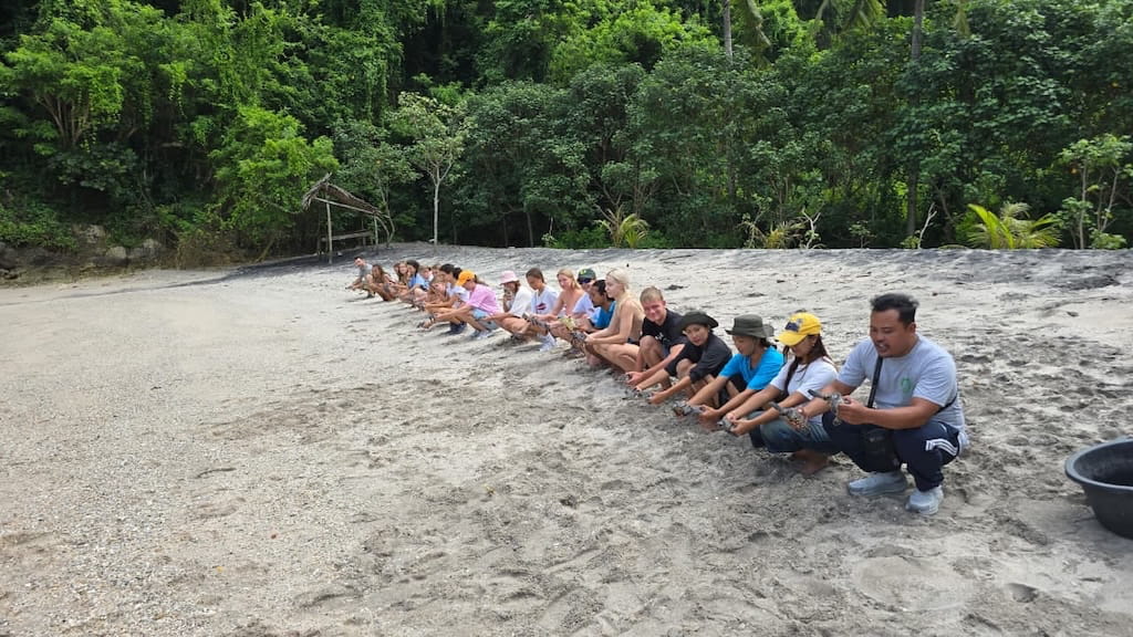 Alle schildpadden vrijlaten