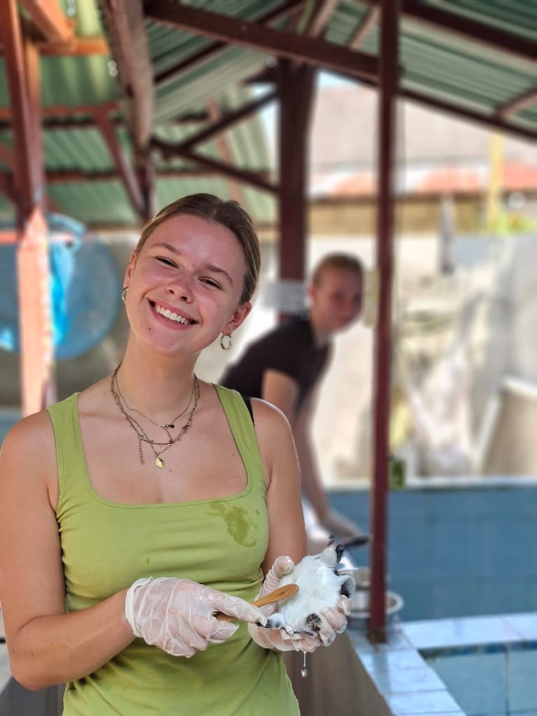 De schildpadden wassen