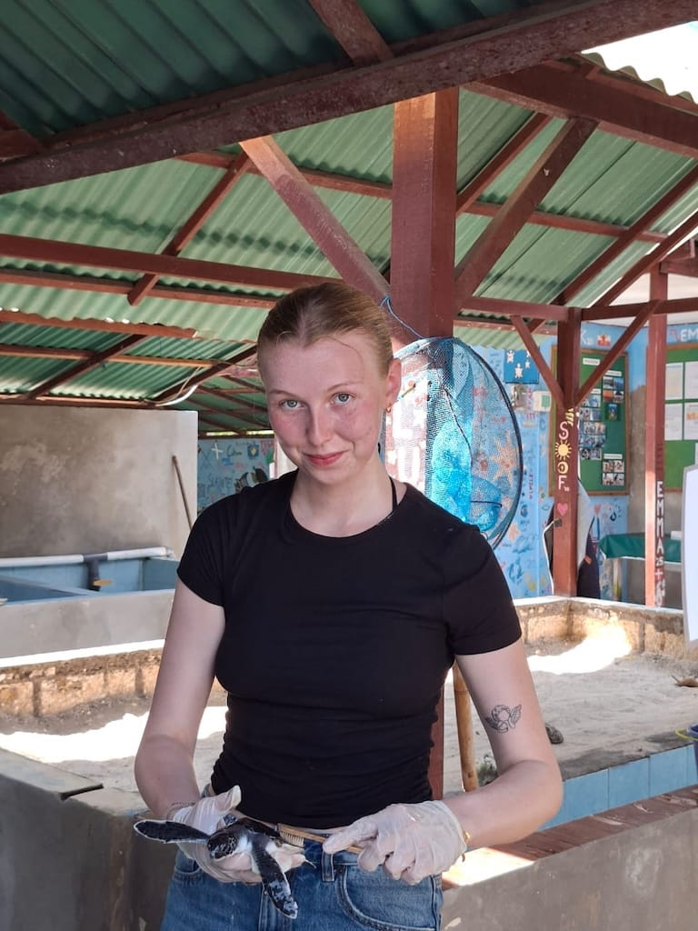 Vrijwilliger met Schildpadden op Nusa Penida