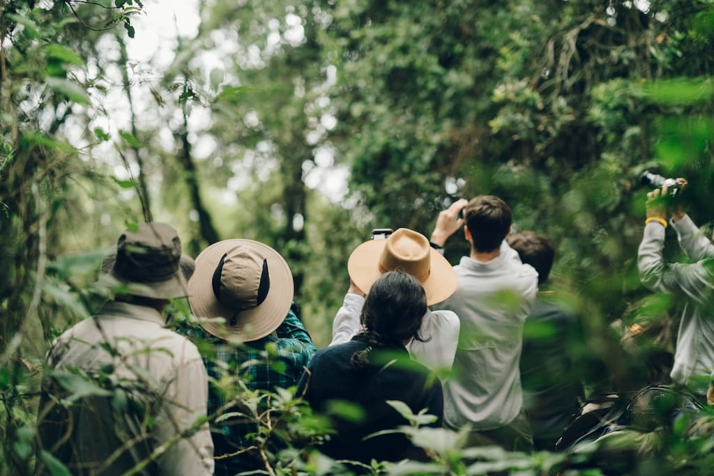 Foto's maken tijdens de gorilla trekking