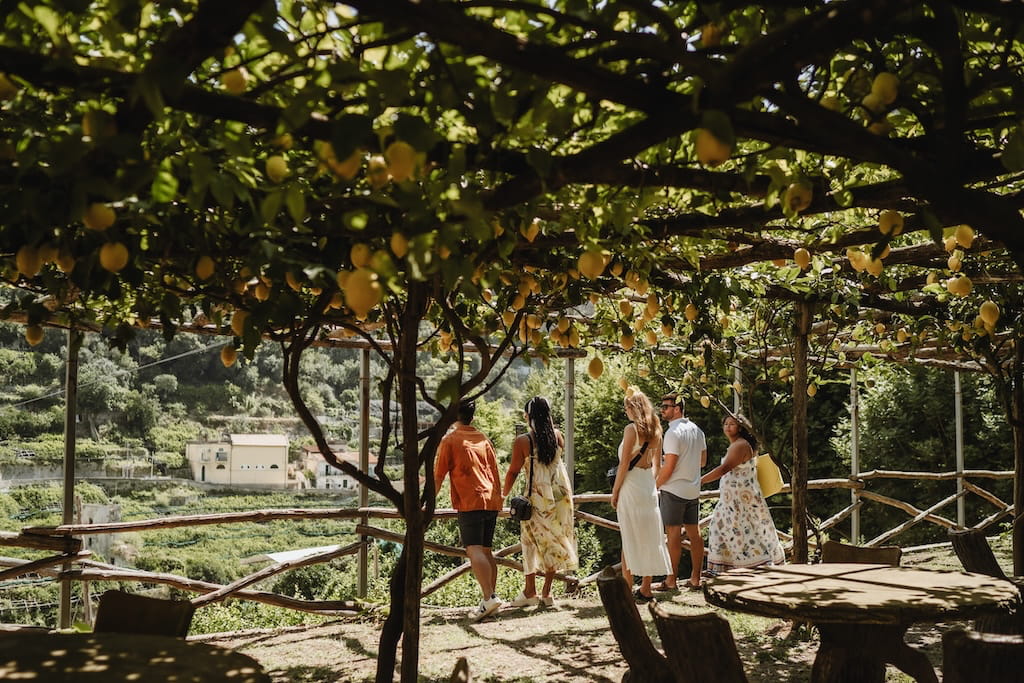Het platteland van Sicilië ontdekken