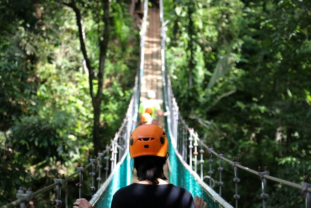 Wandel door de boomtoppen van de jungle in Belize met een jongeren groepsreis