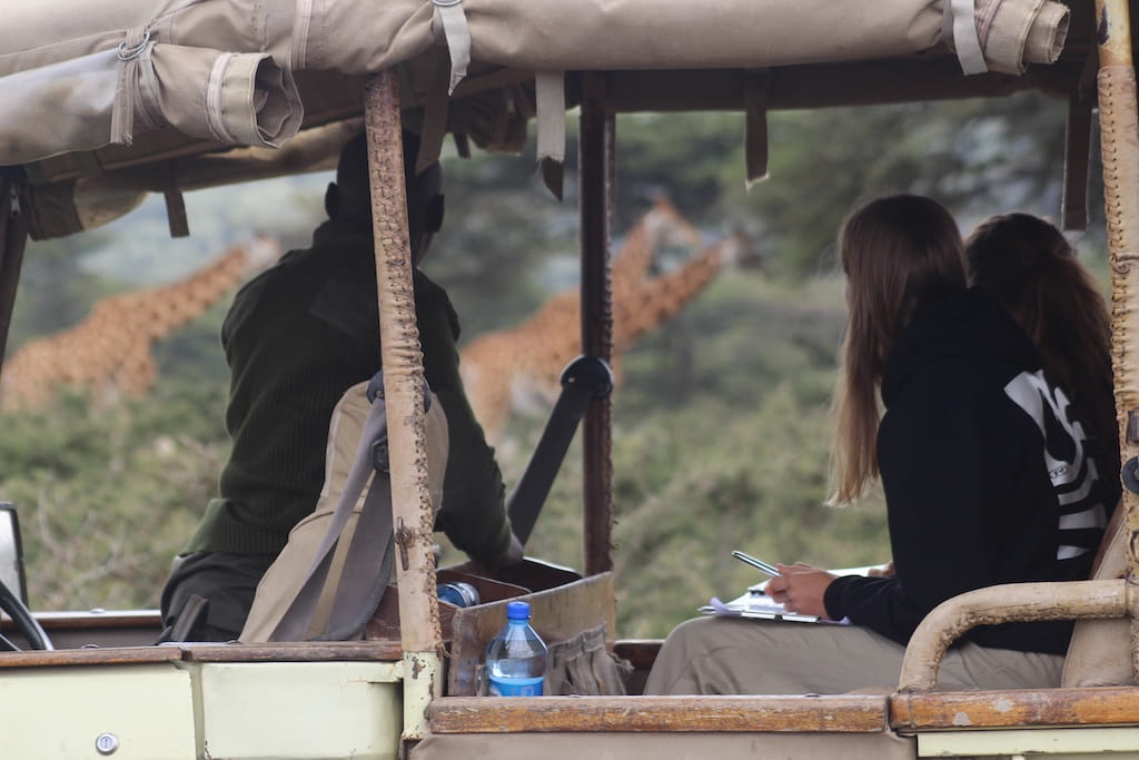 Game Drive in Nakuru Kenia