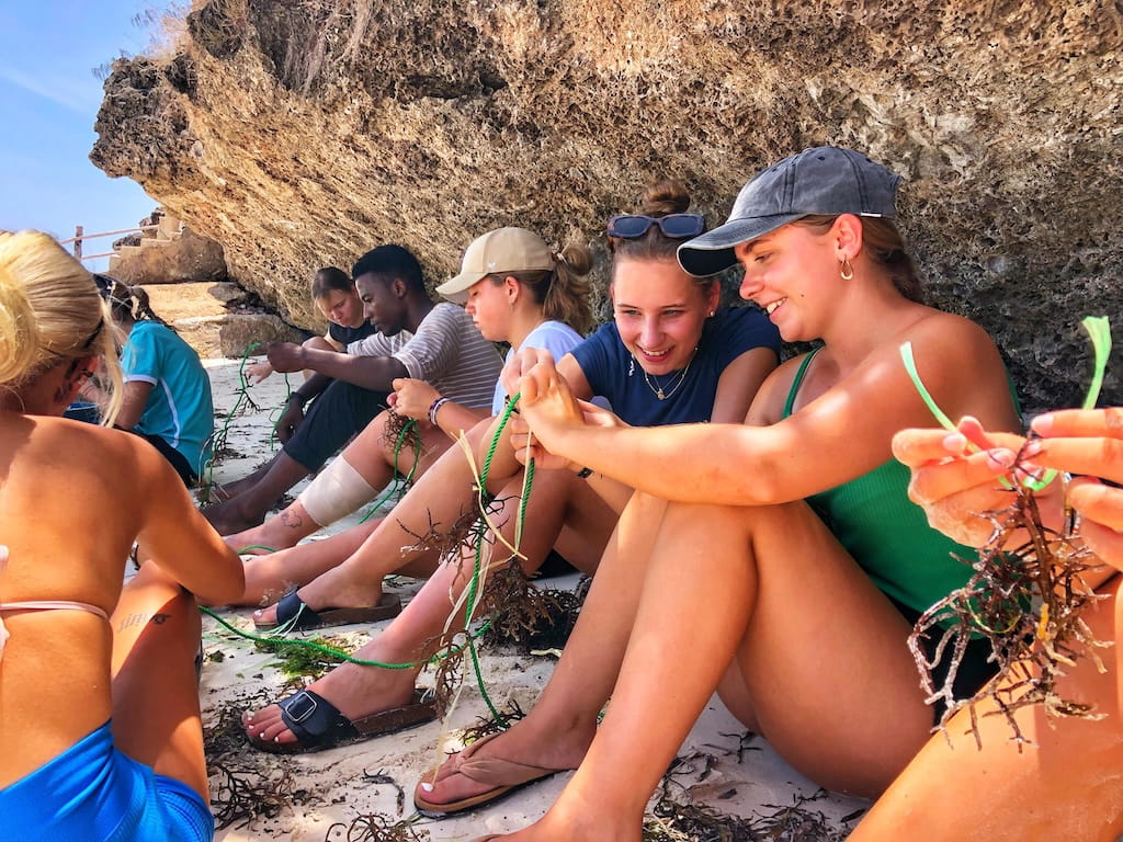 Zanzibar Schildpadden Project en conservation