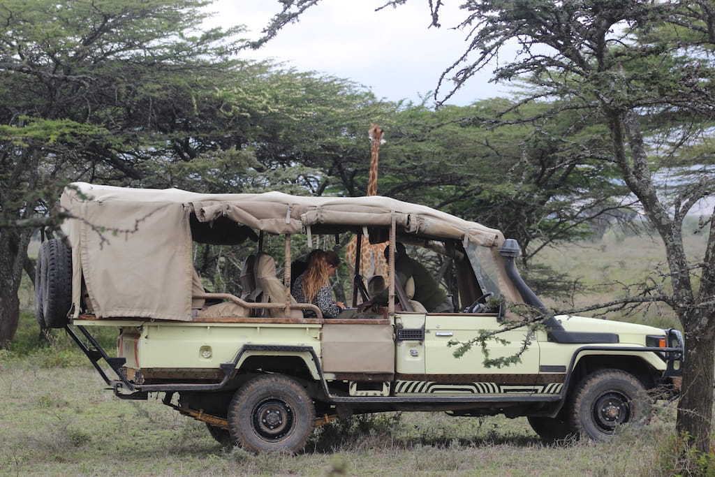 Werken in het veld tijdens Game Drive in Nakuru Werken in het veld tijdens Game Drive in Nakuru