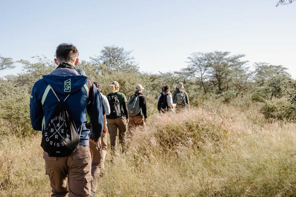 De Afrikaanse Bush in De Afrikaanse Bush in